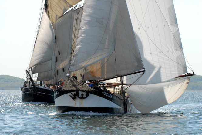 Flensburger Förde; Flensburg Fjord Regatta; Rivierklipper PEGASUS und Jagtskonnert MARTHA; 2023-05-19; &copy; Andreas Zedler